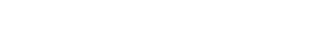 LV-Development.webp